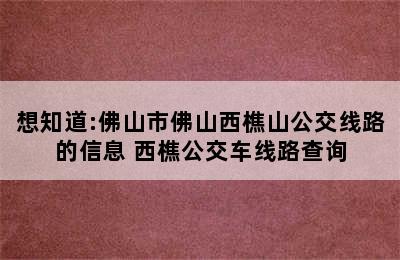 想知道:佛山市佛山西樵山公交线路的信息 西樵公交车线路查询